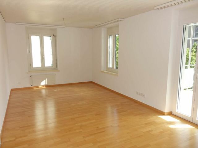 frisch sanierte Wohnung mit grossem Balkon