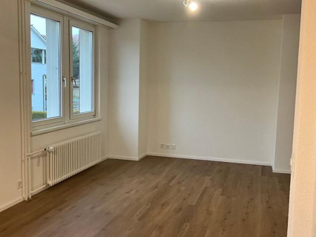 Frisch sanierte Wohnung mit modernem Flair