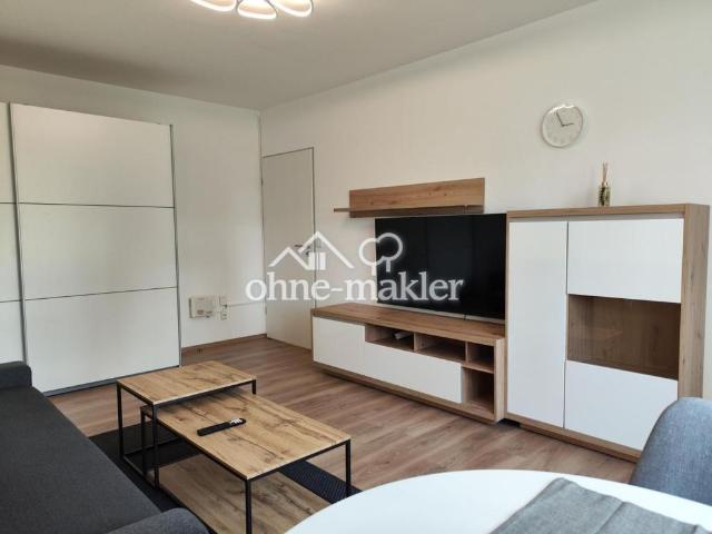 Frisch sanierte und vollmöblierte 1 Zimmer EG Wohnung mit gehobener Innenausstattung