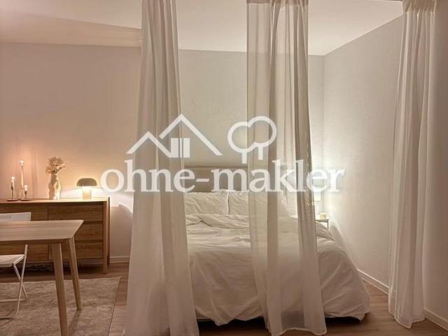 Frisch sanierte & voll möblierte 1 Zi.Whg mit Balkon fußläufig zum Schlosspark und Mainufer