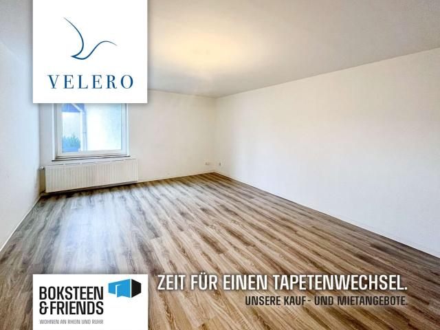 Frisch saniertes 1 Zimmer Appartment!