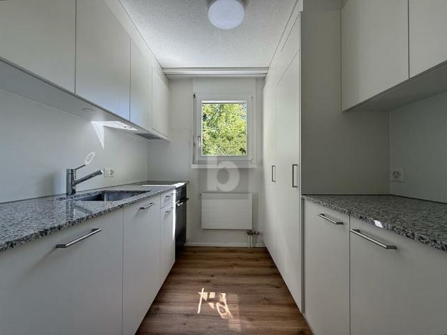 FRISCH RENOVIERT MIT GROSSEM BALKON