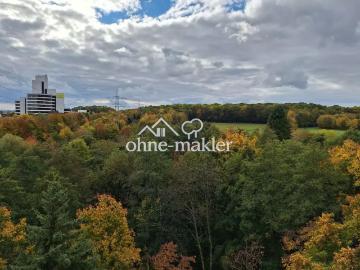 Frisch renoviert ohne Maklergebühren – 2,5 ZKB mit Balkon, Stellplatz und toller Lage in Schwalbach