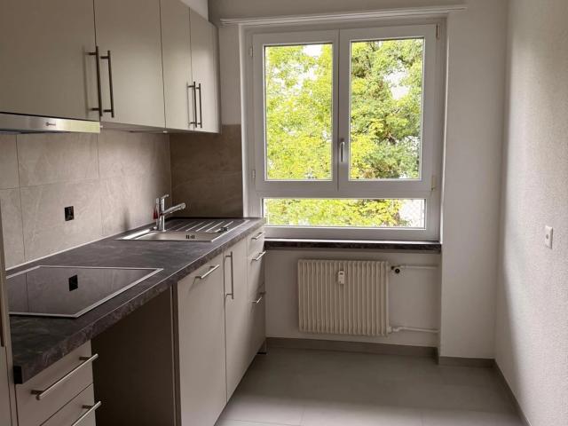 Frisch renoviert & optimal gelegen Ihr neues Zuhause in Zollikofen