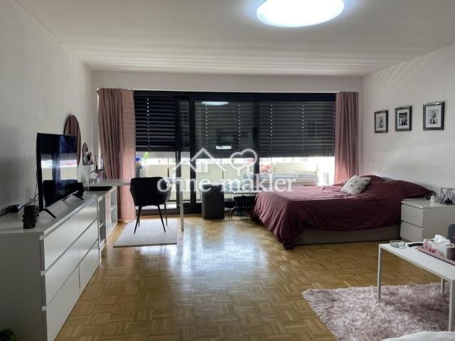 frisch renoviert 1 Zimmer mit gr. Balkon + EBK