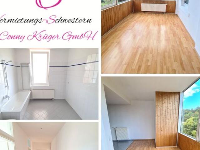 Darf es etwas besonderes sein? 2,5 Raum Whg in Altchemnitz