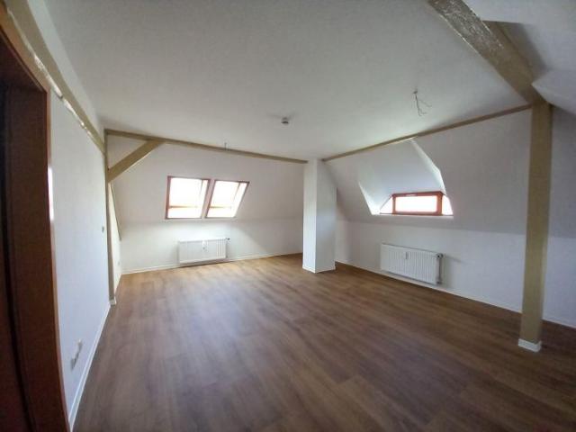sanierte 2,5 Zimmer Wohnung inkl. PKW Stellplatz in Gößnitz, ab sofort verfügbar