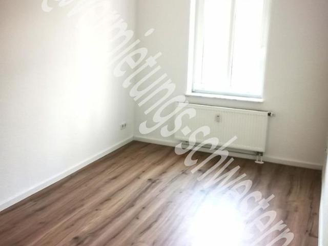 frisch renovierte 2,5 Raum Whg in Altchemnitz #2r