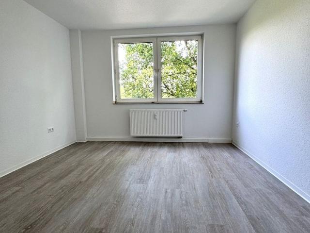 Frisch renovierte 3 Zi. Whg. mit neuem Tageslichtbad