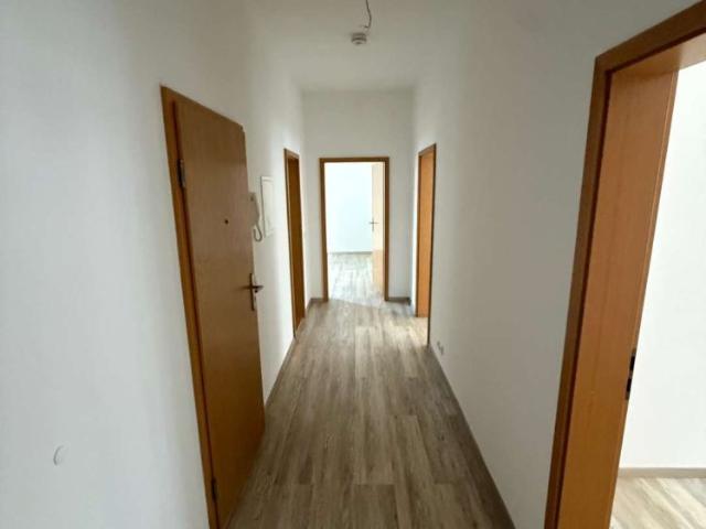Frisch Renovierte 3 Zimmer Wohnung mit Balkon und Badewanne