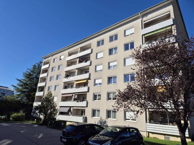 Frisch renovierte 3 Zimmer Wohnung mit Blick auf den Bodensee & Pfänder