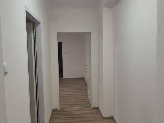 Frisch renovierte 3 Zimmer Wohnung mit neuer Heizungsanlage