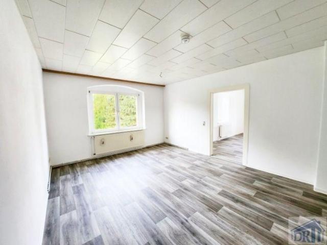 Frisch renovierte Wohnung im Grünen