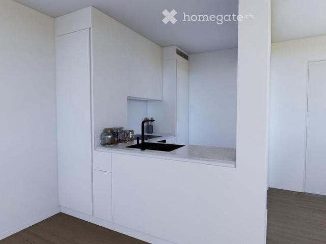 frisch renovierte, wunderschöne 1.5 Wohnung im 2. OG mit sonnigem Balkon, Blick ins Grüne