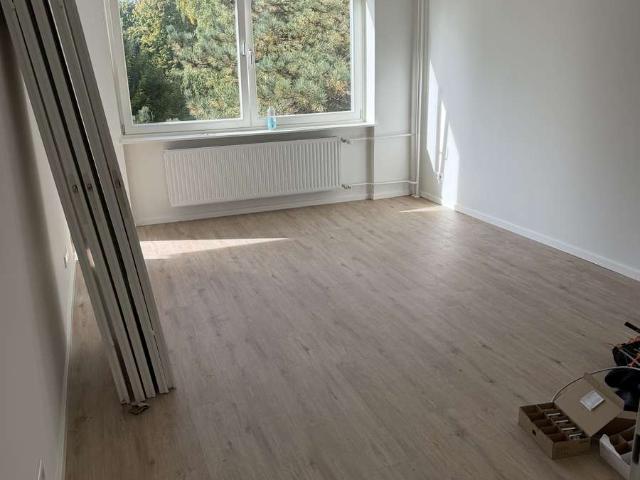 Frischsanierte 2 Zi. Wohnung mit Westbalkon in Bramfeld
