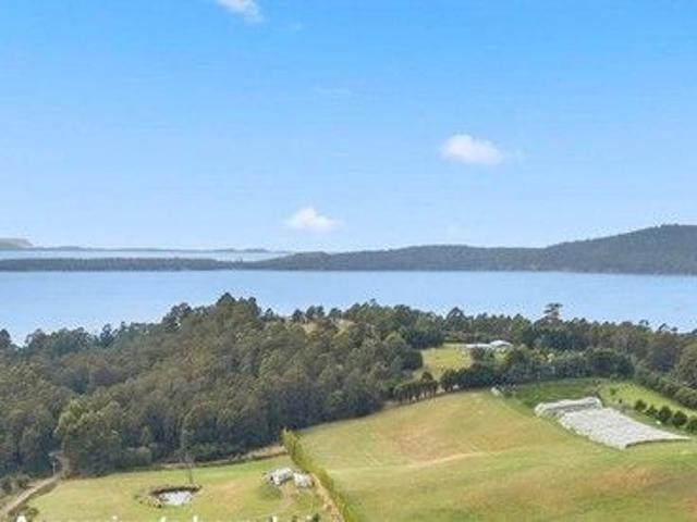 Fruit Orchard, Vineyard, Winery, Distillery, Timber and Cattle with four bedroom House. Ocean view in two directions