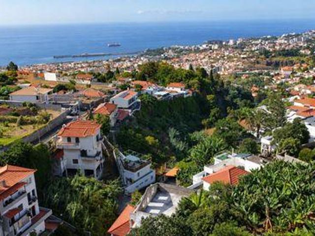 Funchal Madeira 9050 521 LS105363685
