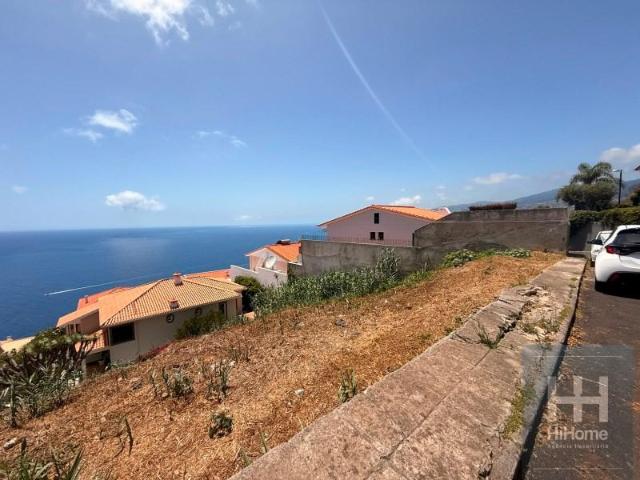 Funchal Funchal 104946158