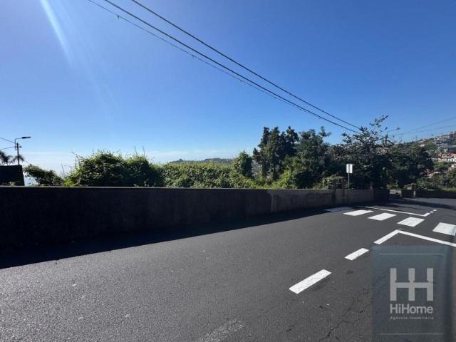 Funchal Funchal 103360837