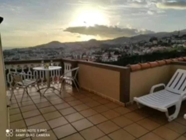 Funchal Funchal 81584470
