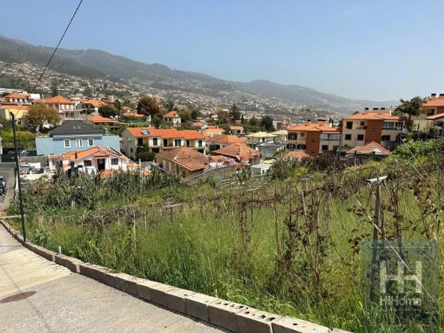 Funchal Funchal 87045554