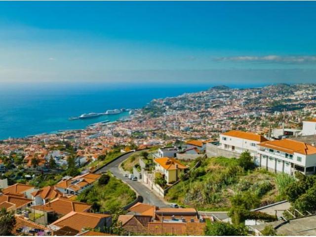Funchal Funchal 93177519