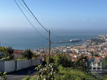 Funchal Funchal 98793821