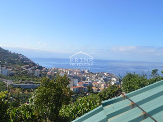 Funchal Ilha da Madeira 49412833