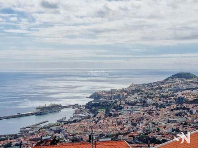 Funchal Ilha da Madeira 93586039