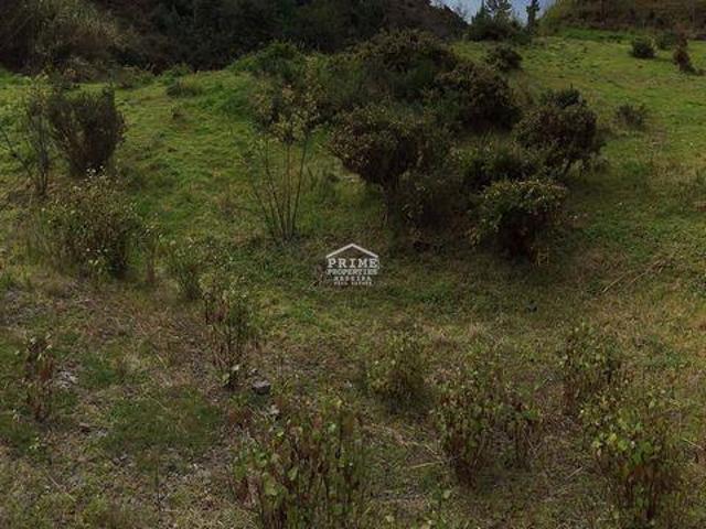 Funchal Ilha da Madeira 96309641