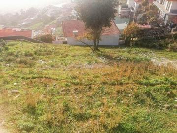 Funchal Ilha da Madeira 96309648