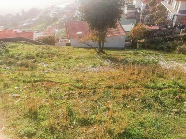 Funchal Ilha da Madeira 96309648