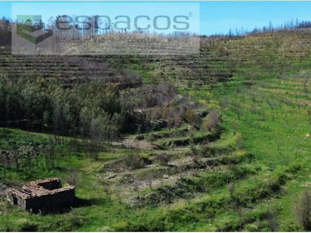 Fundão Fundão 100846360