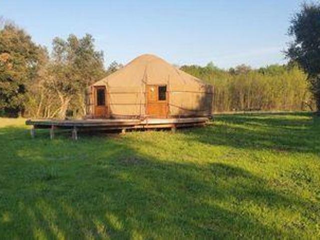 Fundao Castelo Branco 104439858