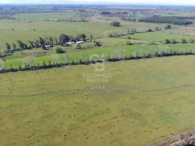 Fundo Agrícola en San Carlos | 0 dormitorios por 67707.00 en San Carlos