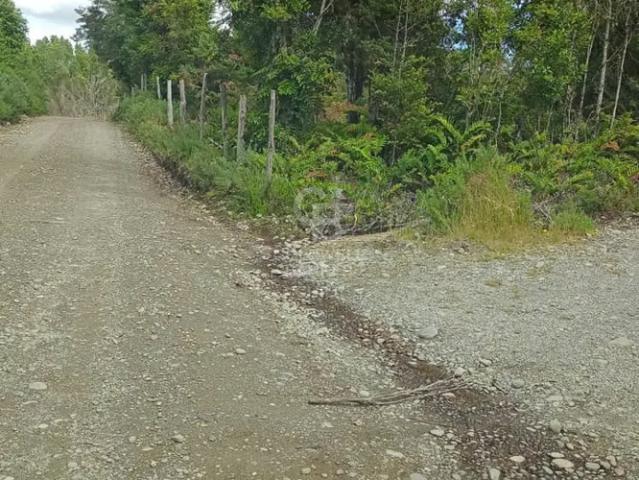 Fundo en Chiloé: 54ha estratégicas cerca del Chacao | 0 dormitorios por 21700.00 en Ancud