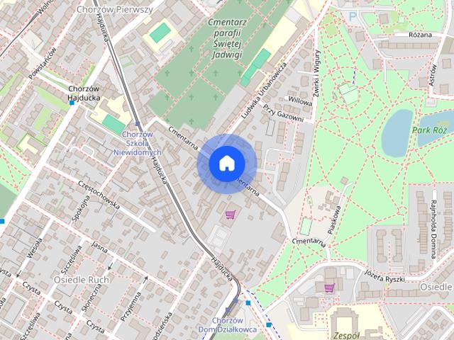 Funkcjonalne jasne studio Cmentarna 30