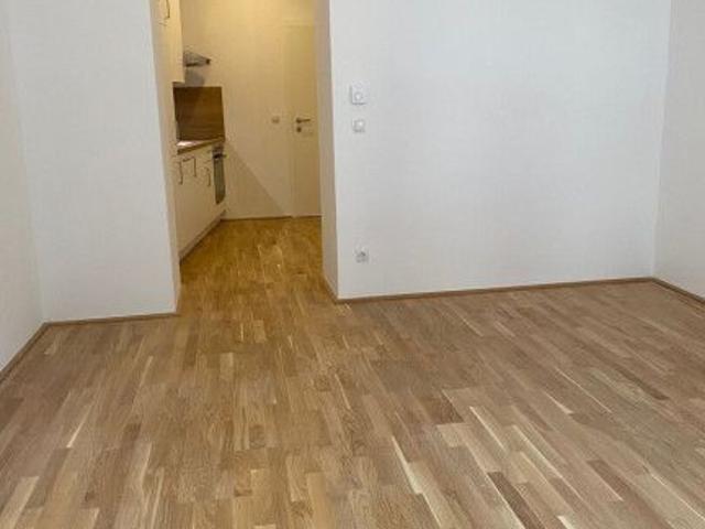 Funktionale 3 Zimmer Mietwohnung in Kaltenleutgeben hell & gut geschnitten