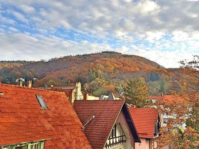 Fully equipped exclusive art nouveau 2 room apartment in a quiet location in the centre of Neuenheim, Heidelberg Amsterdam Apartments for Rent