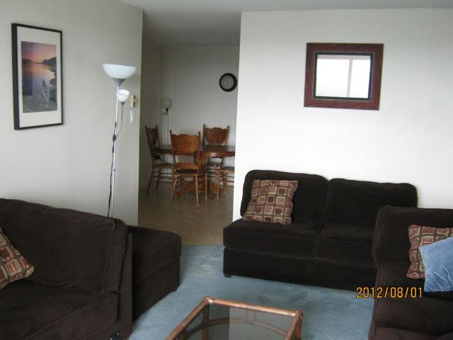 fully furnished 3 BR apt