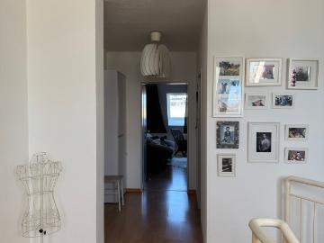 Innenstadt-Jungbusch, Mundenheim