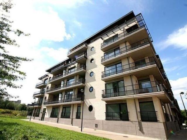 Fully furnished 1 bedroom apartment