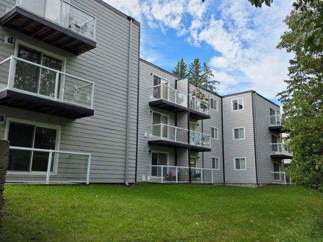 ✨ Fully Furnished 1 Bedroom Suite | All Inclusive | Westpark Apartments ✨