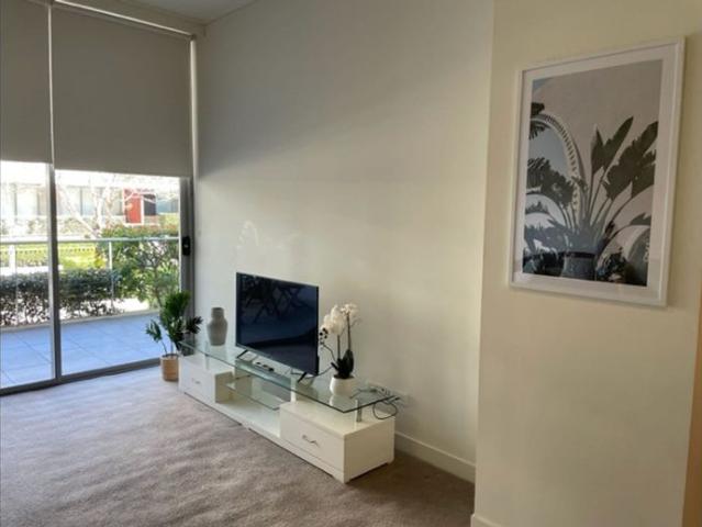 Fully Furnished 1 Bedroom. $850 to $900 per week. Wifi and utilities included