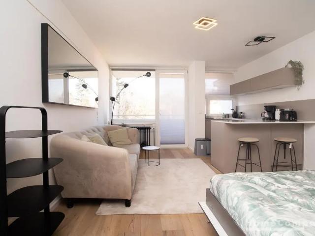 Fully furnished 1 room apartment