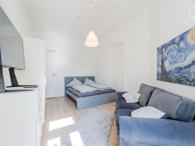 Fully Furnished 1 Room Apartment with Modern Touches, Berlin Amsterdam Apartments for Rent
