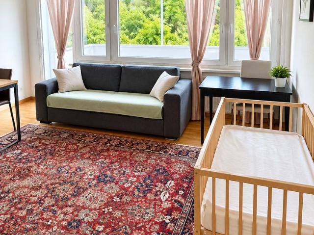 ✨ Fully Furnished 2.5 Room Apartment in Quiet Dübendorf