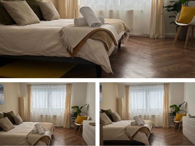 Fully Furnished 2 Bedroom Apartment in Central Braunschweig – Ideal for Companies & Expats and perfect loft in quiet street, Braunschweig Amsterdam Apartments for Rent