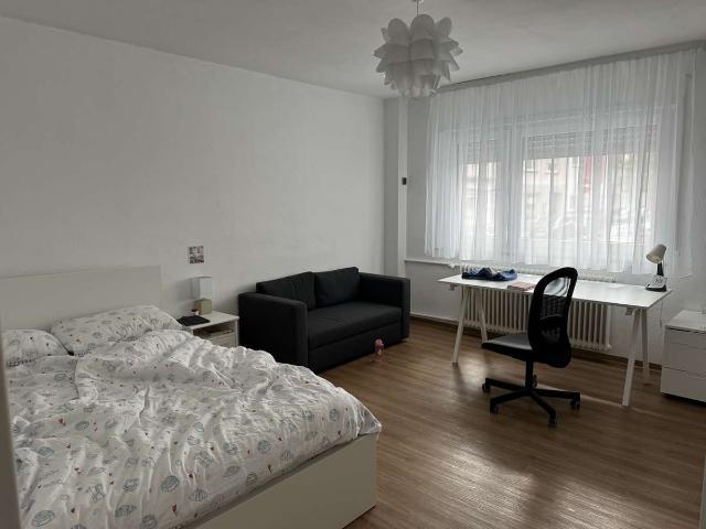 Fully furnished 2 bedroom app. City center. Voll möblierte 2 ZKB Whg. Zentral in den Quadraten