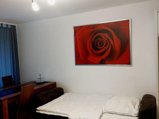 Fully furnished 2 room flat in Hanover near the city centre, Hannover Amsterdam Apartments for Rent